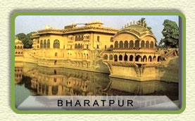 Baharatpur
