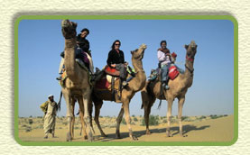 jaisalmer camel safari