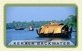 kerala backwater