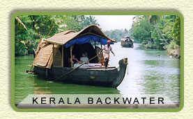 Kerala Backwater