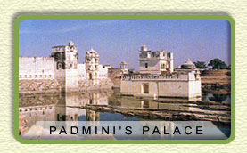 Padmini's Palace