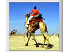 rajasthan Travel packages