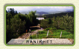 Ranikhet