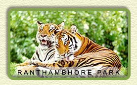 Ranthambhore National Park