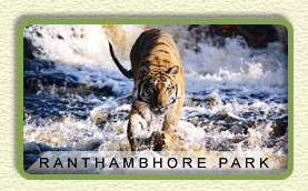 Ranthambore National Park